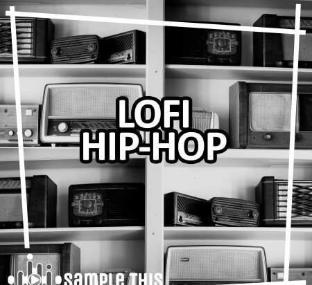 Sample This LoFi Hip-Hop WAV